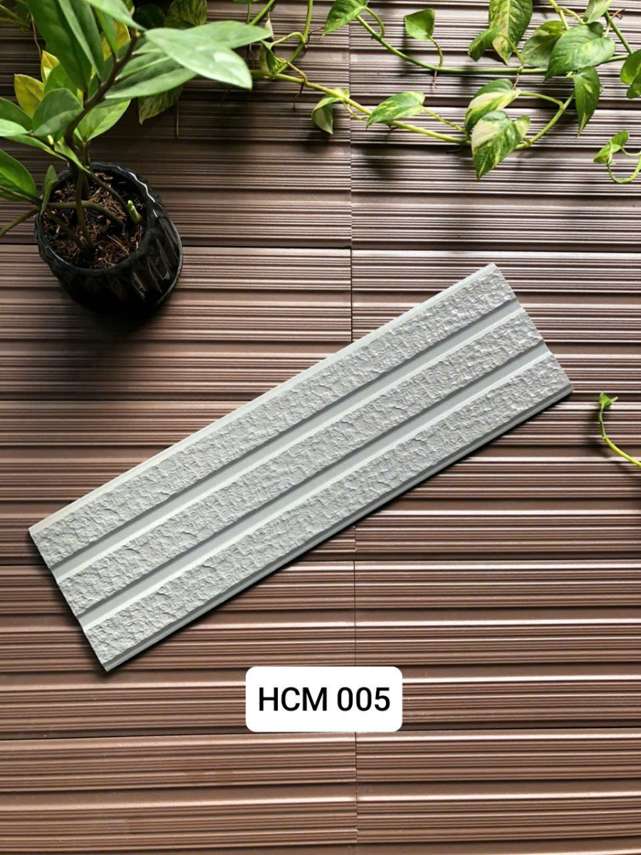 Việt Nhật HCM 005